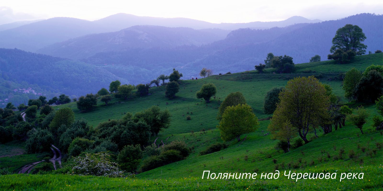 A panorama of the Western Rhodopes