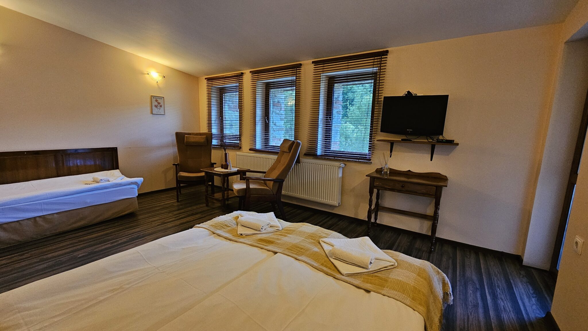 Three windows looking onto the forest, armchairs and a television