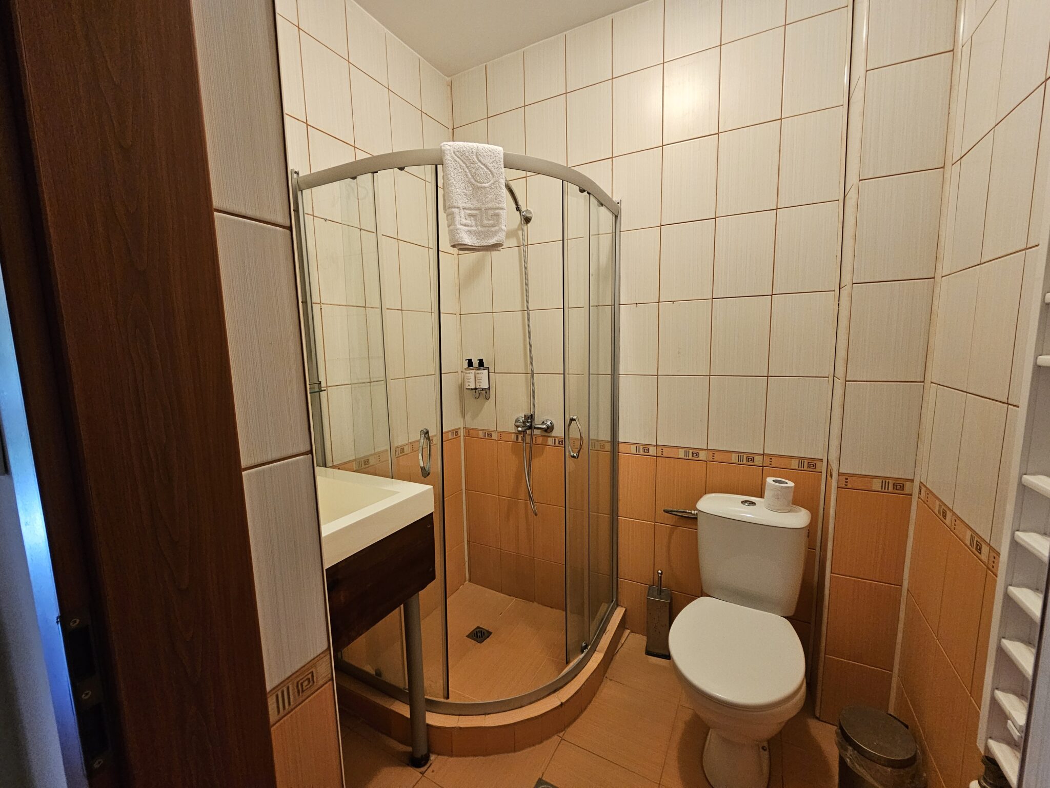 The bathroom: shower cabin and toilet, warm-toned tiling