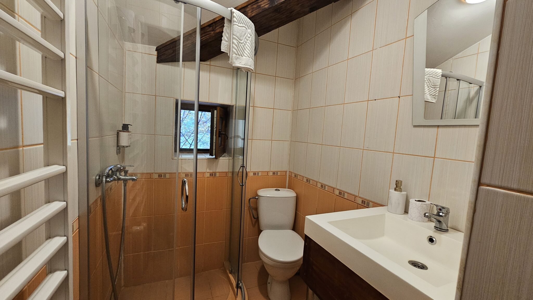 The bathroom: shower cabin, toilet and washbasin