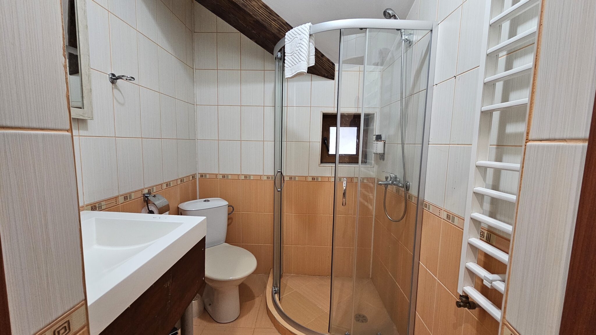 The bathroom: corner shower cabin, washbasin and toilet