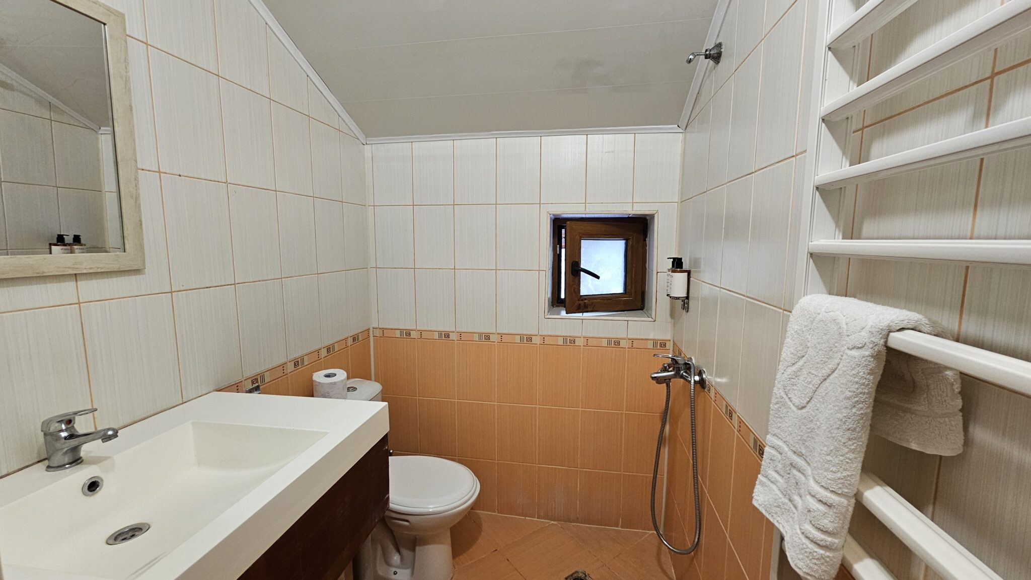 The bathroom: shower, washbasin, toilet and shelves