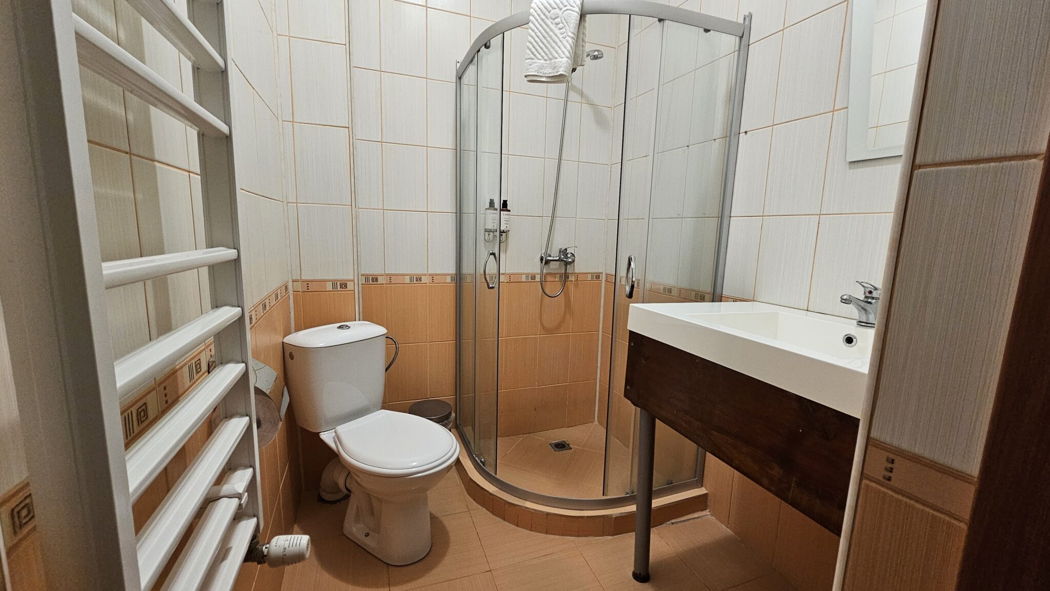 The bathroom: shower cabin, washbasin and toilet