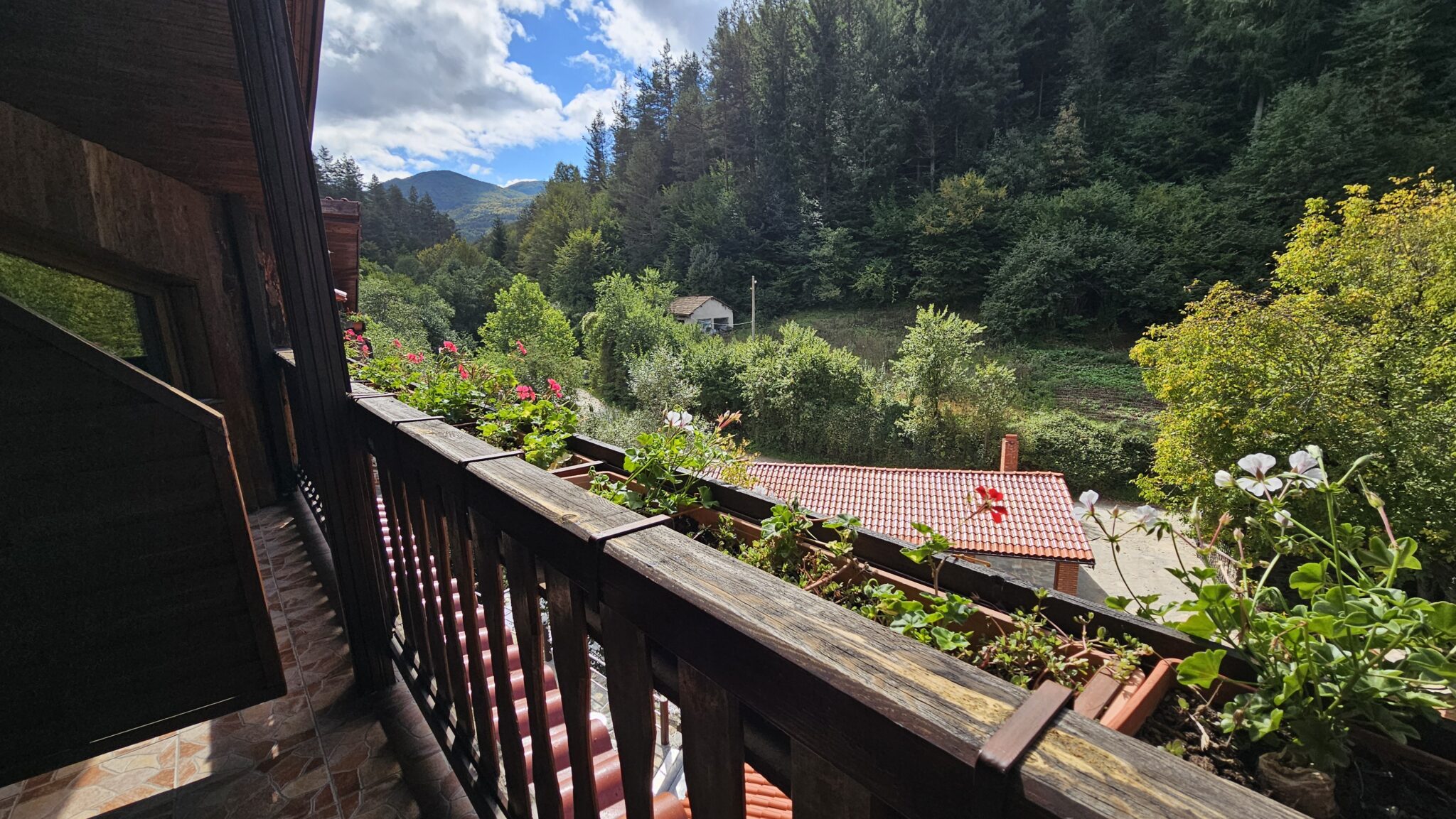 The view from the balcony — mountain, forest and houses