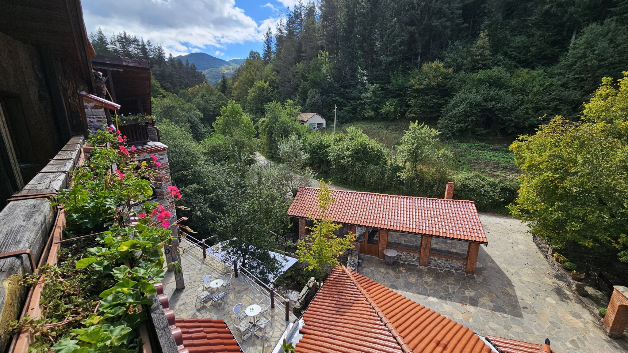 The yard and the roofs, seen from above