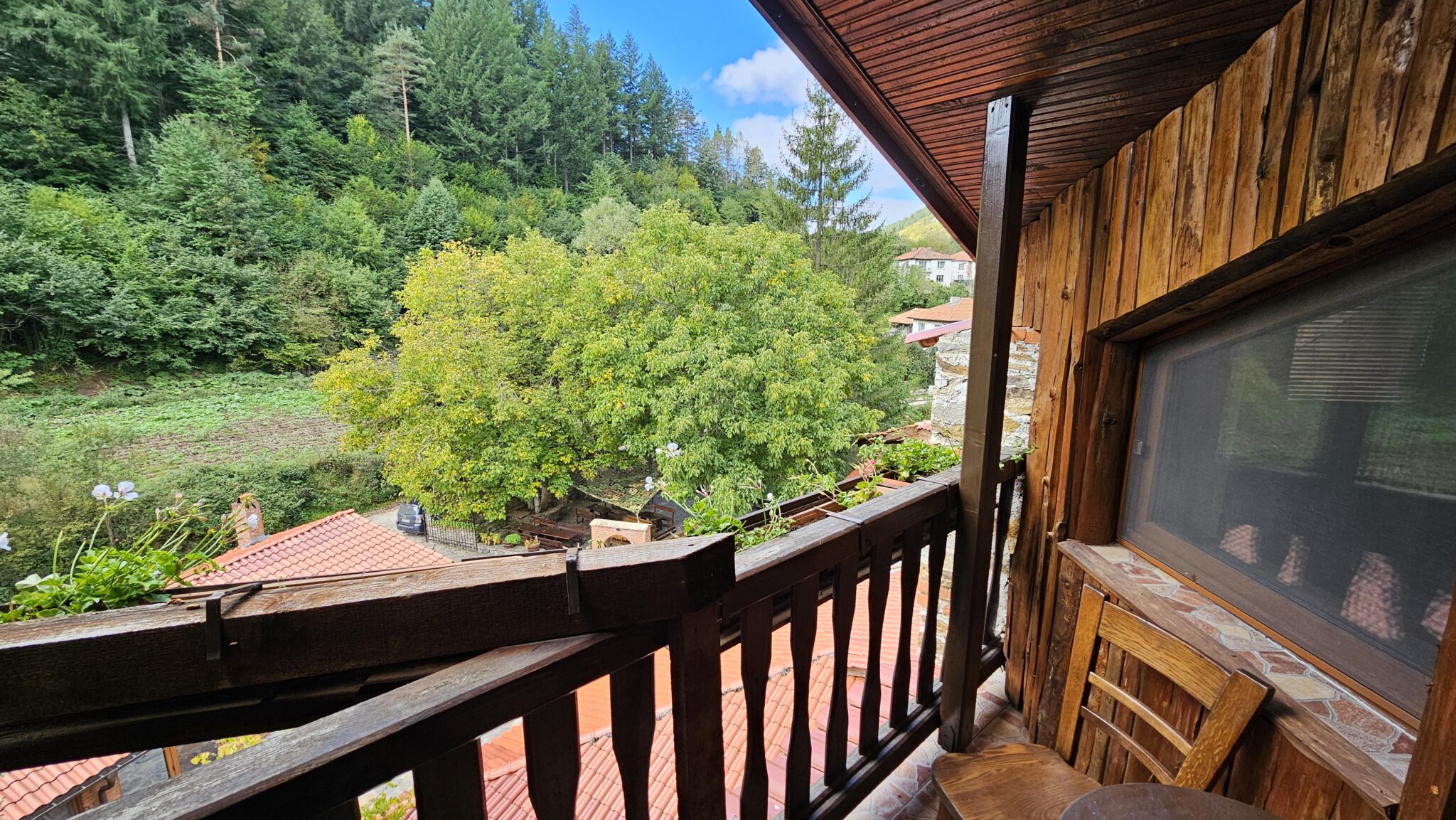 The view from the balcony to the large tree and the roofs