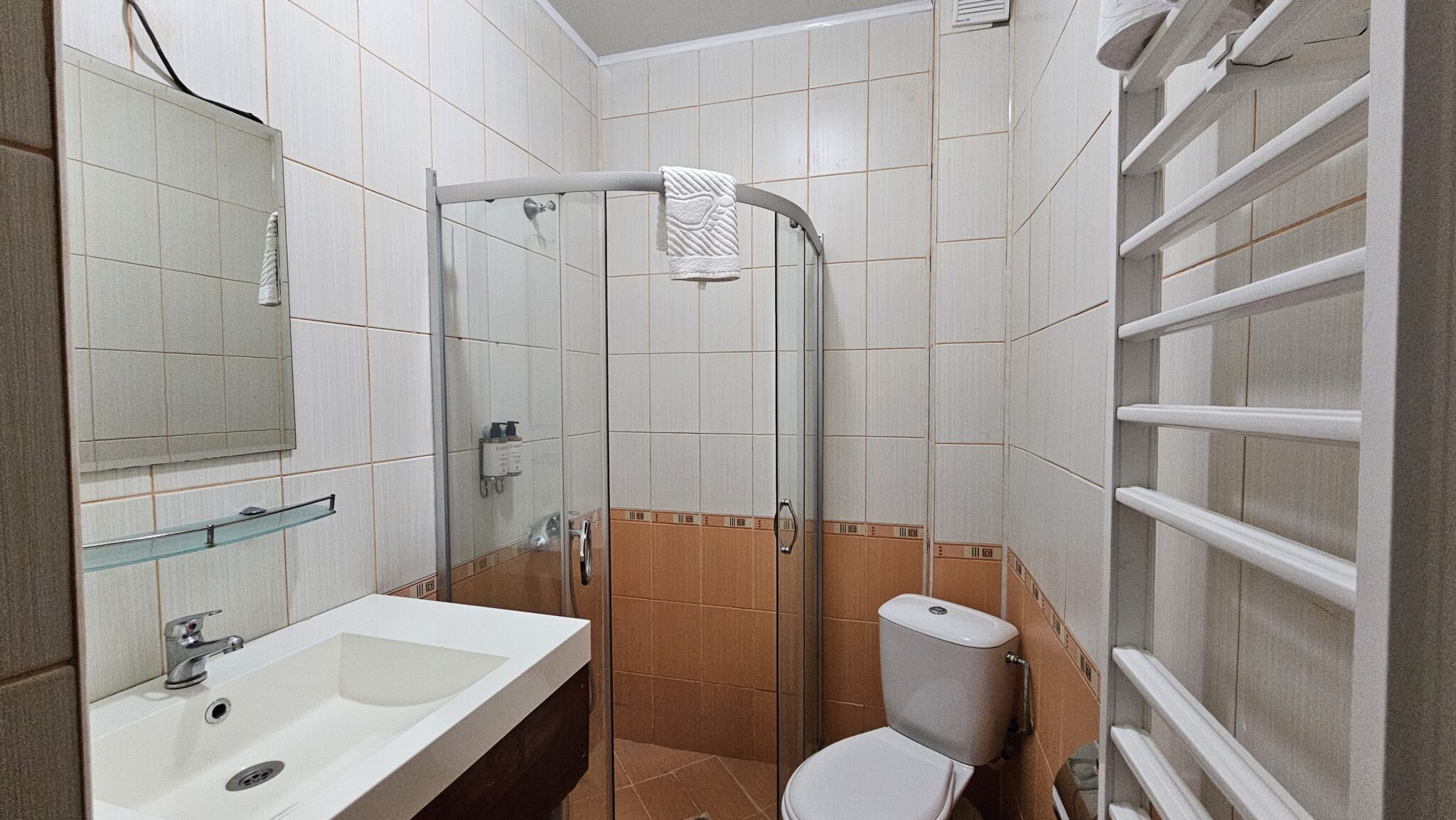 The bathroom: shower cabin, washbasin and shelves